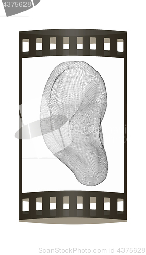 Image of Ear digital model. 3d illustration. The film strip.