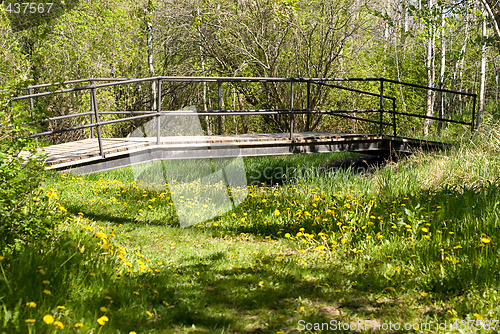 Image of Bridge In Park