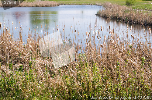 Image of Pond