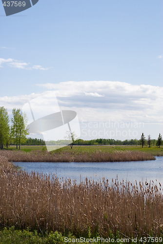 Image of Wetlands