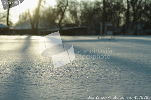 Image of Falling snow in winter