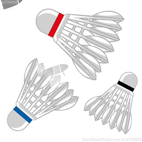 Image of Shuttlecock for badminton