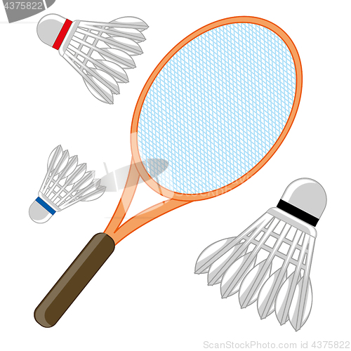 Image of Tennis racket and shuttlecock