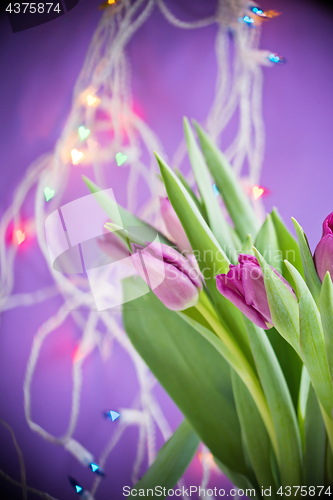 Image of Tulips over ultra violet background