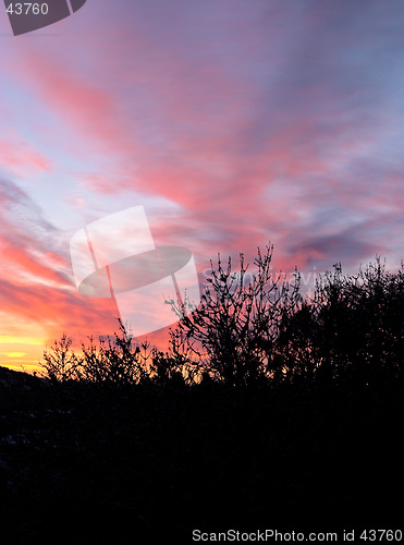 Image of Winter morning, dawn: colourful, beautiful sunrise with snow, black trees and red clouds, G&#246;teborg, Sweden