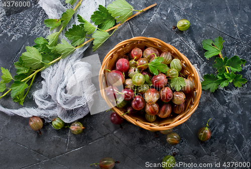 Image of gooseberry