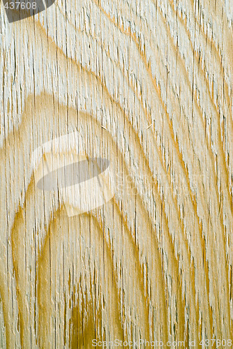 Image of Close-up Wood Grain