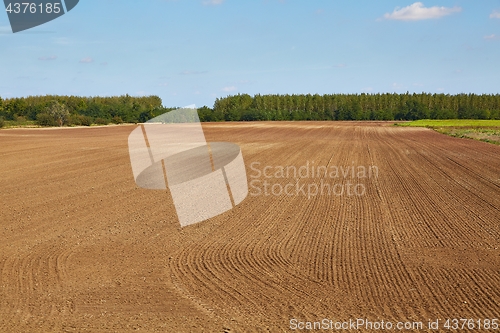 Image of Agircutural field with brown soil
