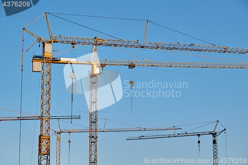 Image of Tall Construction Cranes