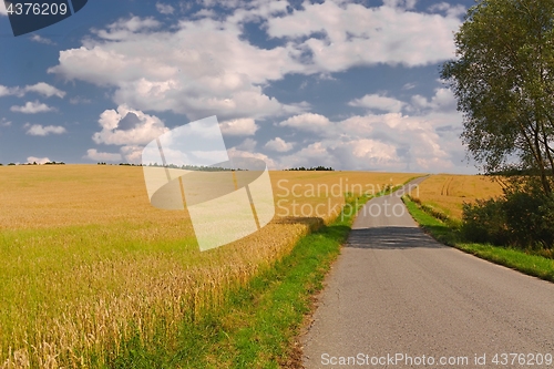 Image of Road through farmlands