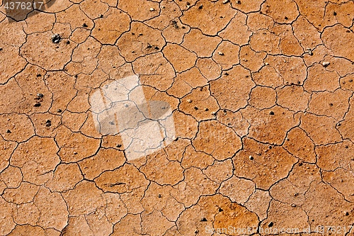 Image of Dry Soil Texture