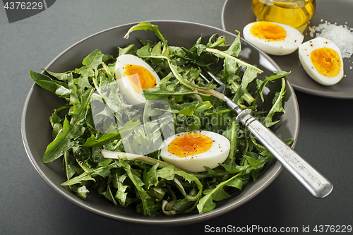 Image of Dandelion salad