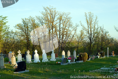 Image of Graveyard