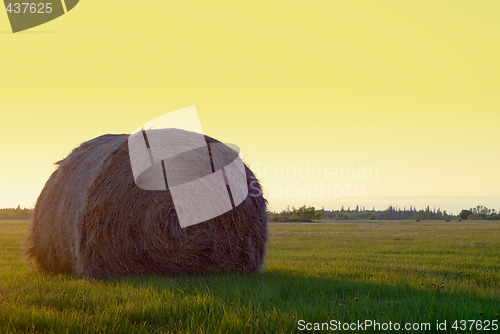 Image of Hay Bale