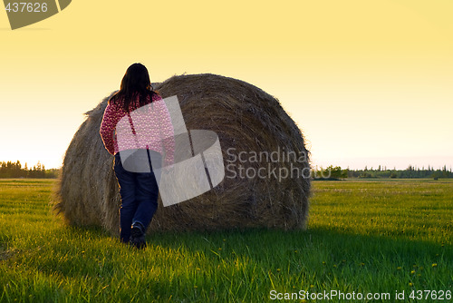Image of Farm Chores
