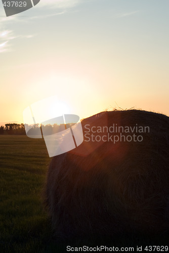 Image of Farm Sunset