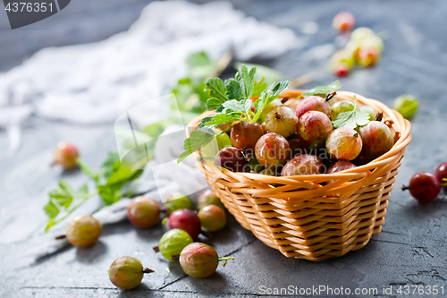 Image of gooseberry