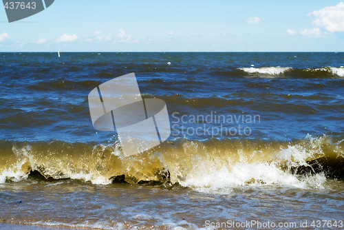 Image of Beach Waves