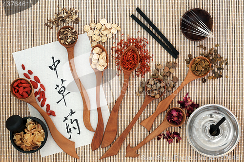 Image of Chinese Herbs and Acupuncture Therapy