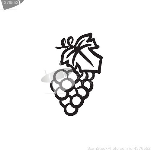 Image of Grape sketch icon.
