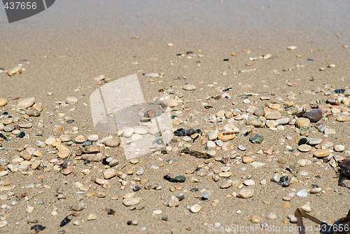 Image of Rocks On The Beach