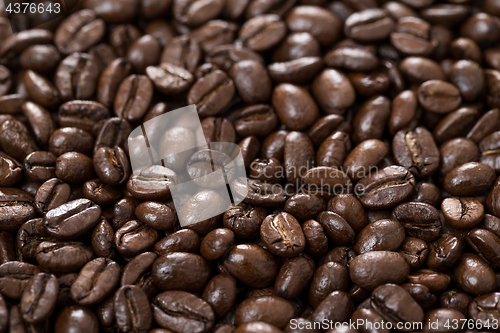Image of Roasted coffee bean