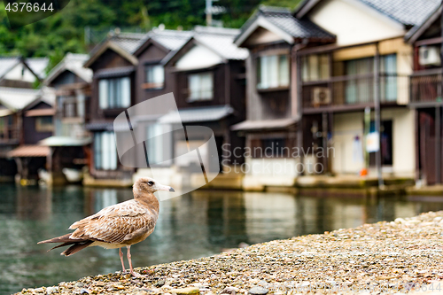 Image of Ine cho in Kyoto