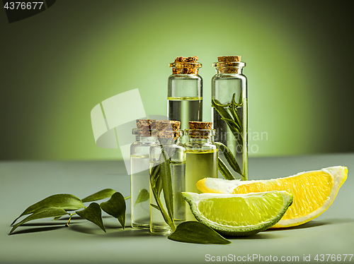 Image of The essential oil of lime oil