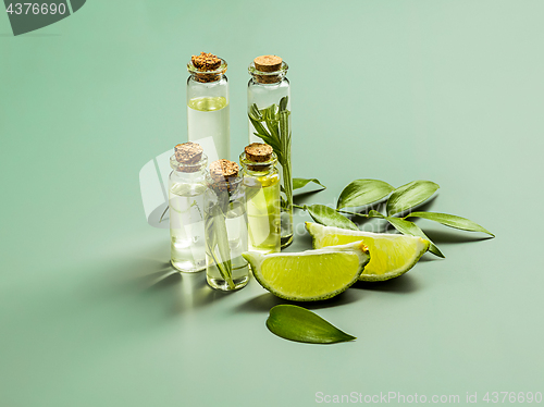 Image of The essential oil of lime oil