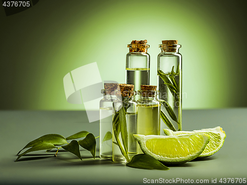 Image of The essential oil of lime oil