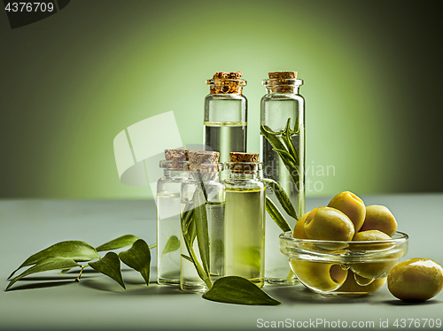 Image of Olive oil and olive branch on the wooden table