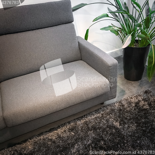 Image of Detail of a living room with gray sofa and plant