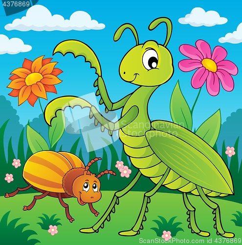 Image of Meadow with praying mantis and bug