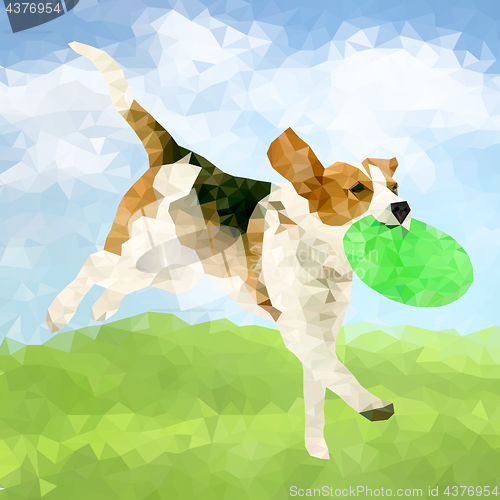 Image of Poly Dog Outdoors-07