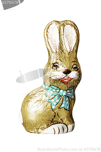 Image of chocolate easter bunny isolated on white