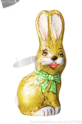 Image of chocolate easter bunny isolated on white