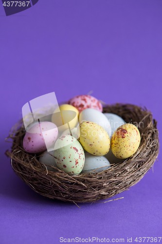 Image of Easter eggs in a nest