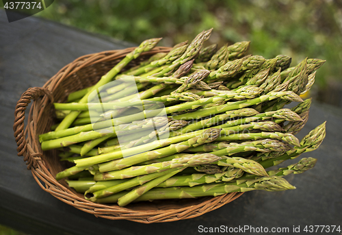 Image of Asparagus