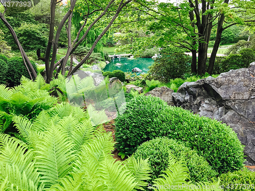 Image of Beautiful fresh green garden with a turquoise pond