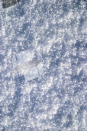 Image of Fresh snow texture, cold ice surface