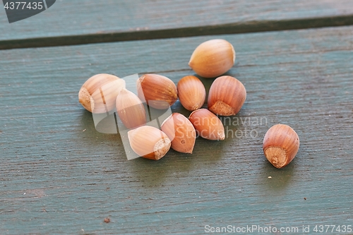 Image of Hazelnut on a table