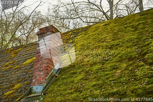 Image of Roof with moss growing