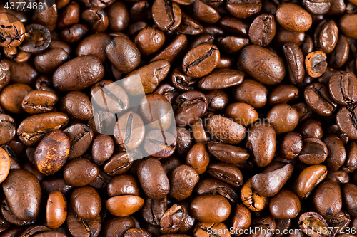 Image of Coffee bean