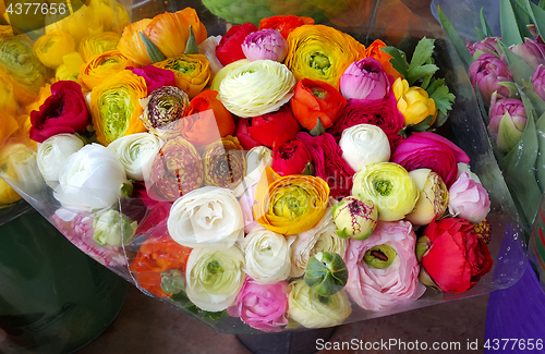 Image of Bouquet of ranunculus colorful flowers