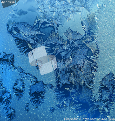 Image of Natural ice pattern on glass