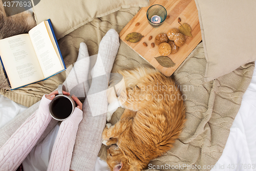 Image of woman with coffee and red cat sleeping in bed