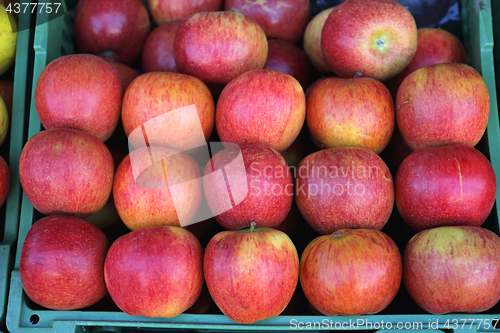 Image of Apples