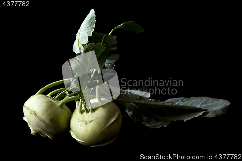 Image of Two kohlrabies (German turnip or turnip cabbage) with leaves