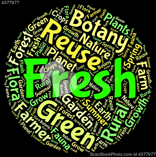 Image of Fresh Word Indicates Words Fresher And Text