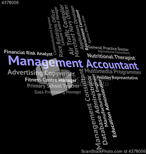 Image of Management Accountant Indicates Balancing The Books And Accounta